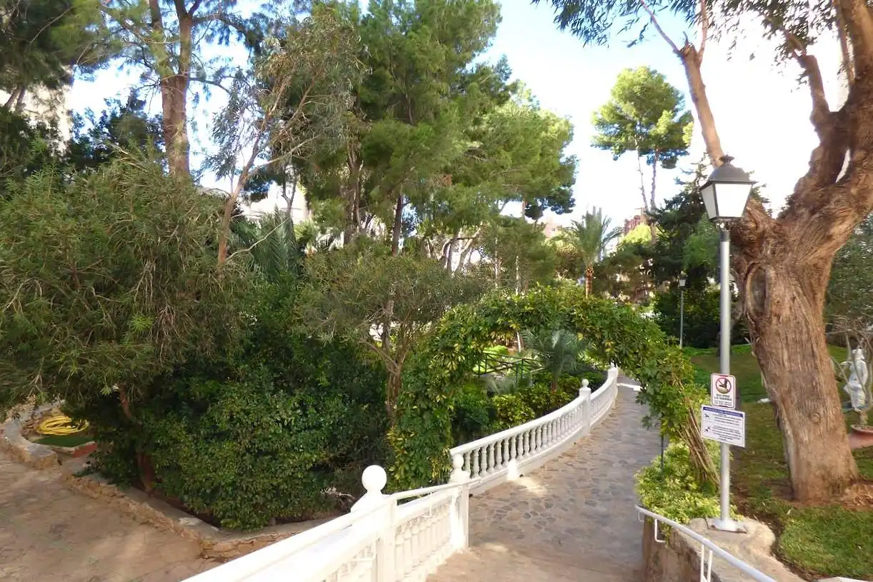 Jardí de Apartament en venda en Benidorm amb Piscina i Piscina comunitària