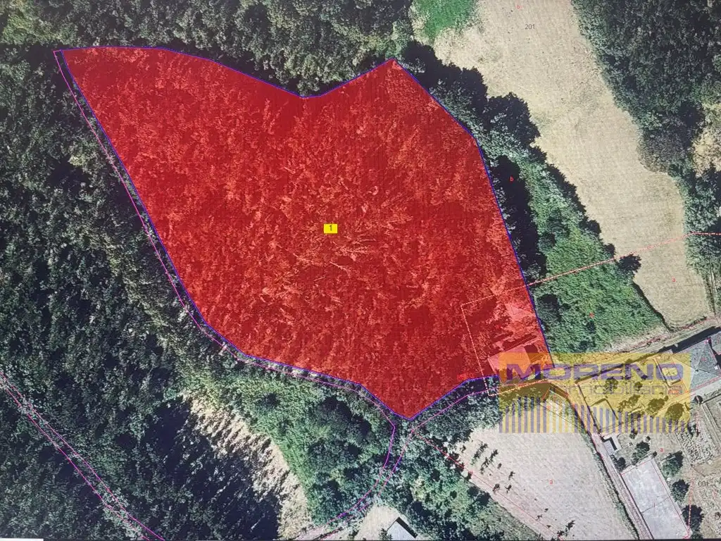 Maison à vendre à Lugar Piñeiro - Pq Piñeiro, imagen 21
