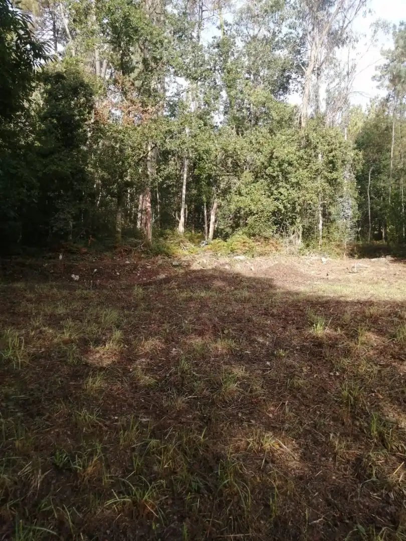 Terrains et parcelles à vendre à Ponteareas, imagen 3