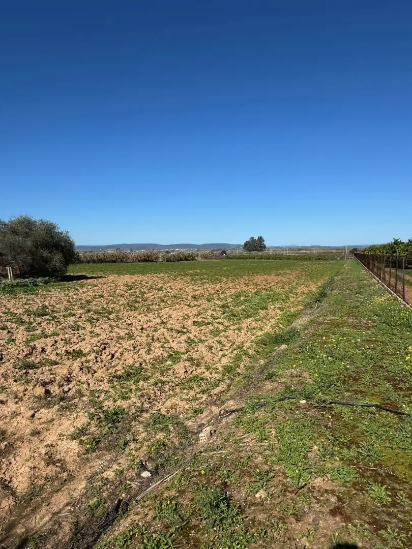 Terrenys i solars en venda a Cantillana, imagen 4