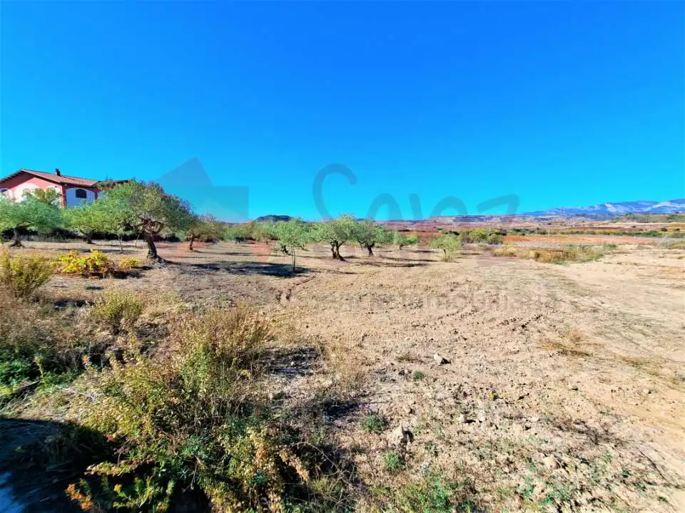Nave industrial en venta en El Cortijo, imagen 11