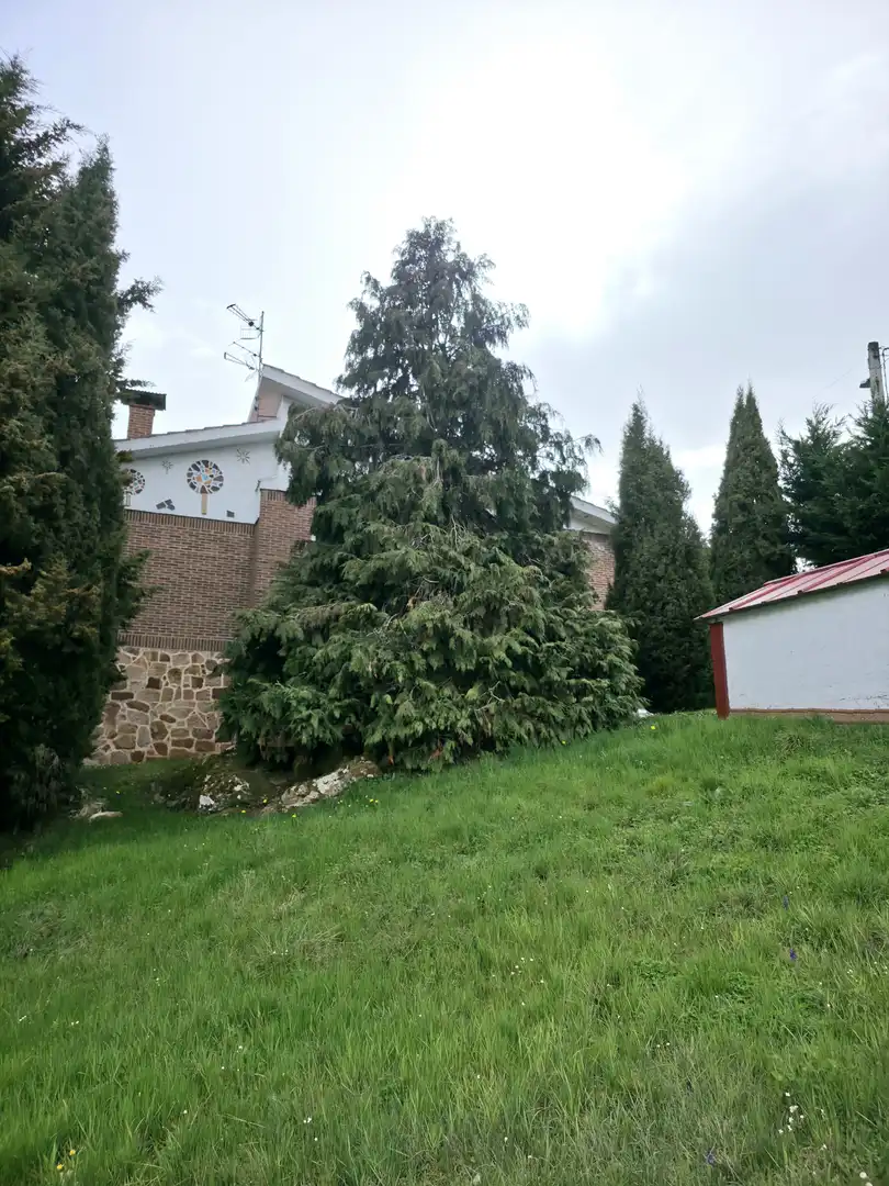 Vista exterior de Casa o xalet en venda en Pomar de Valdivia amb Calefacció, Jardí privat i Terrassa