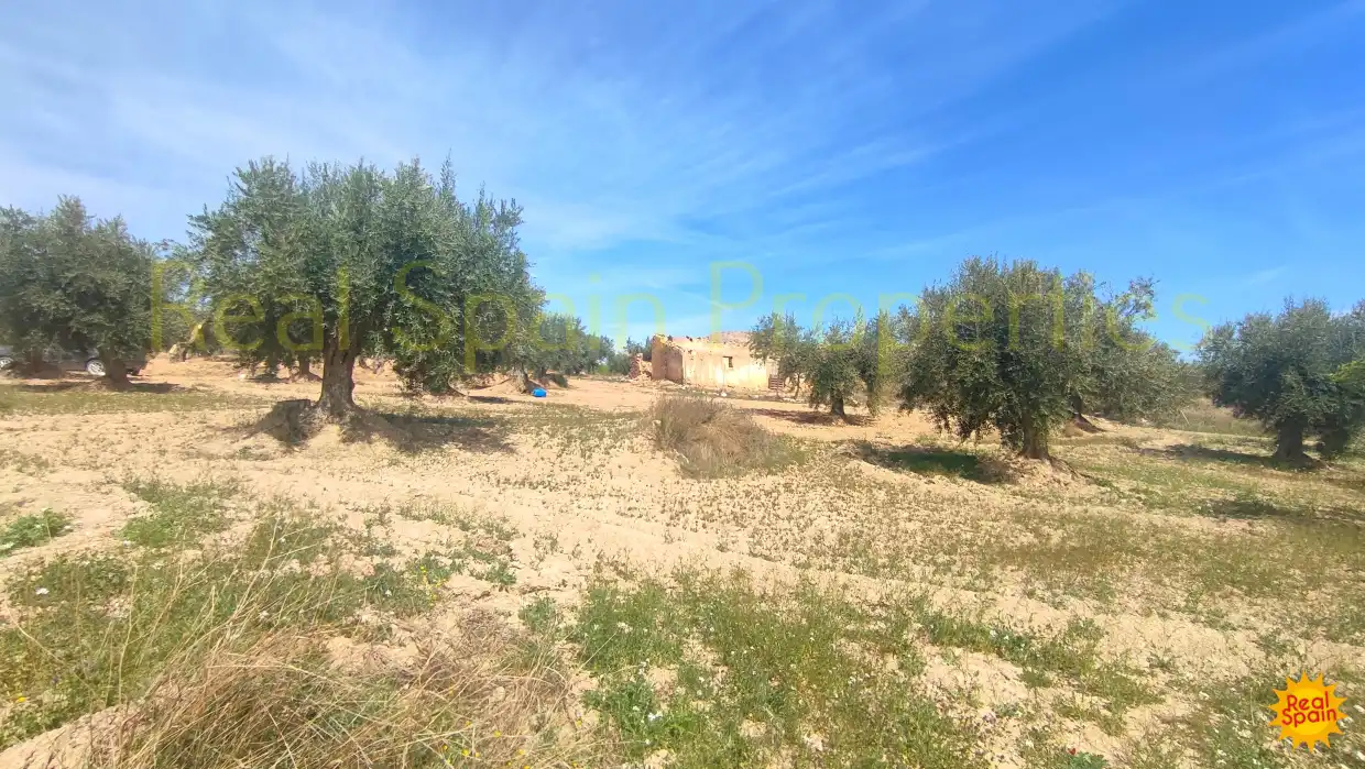 Residential land for sale in Vélez-Rubio, imagen 16