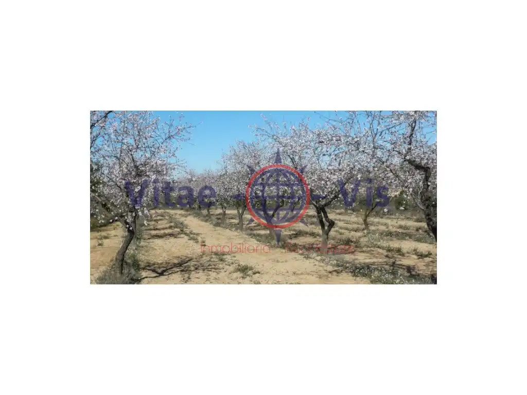 Residential land for sale in Travesia Fuensanta 01