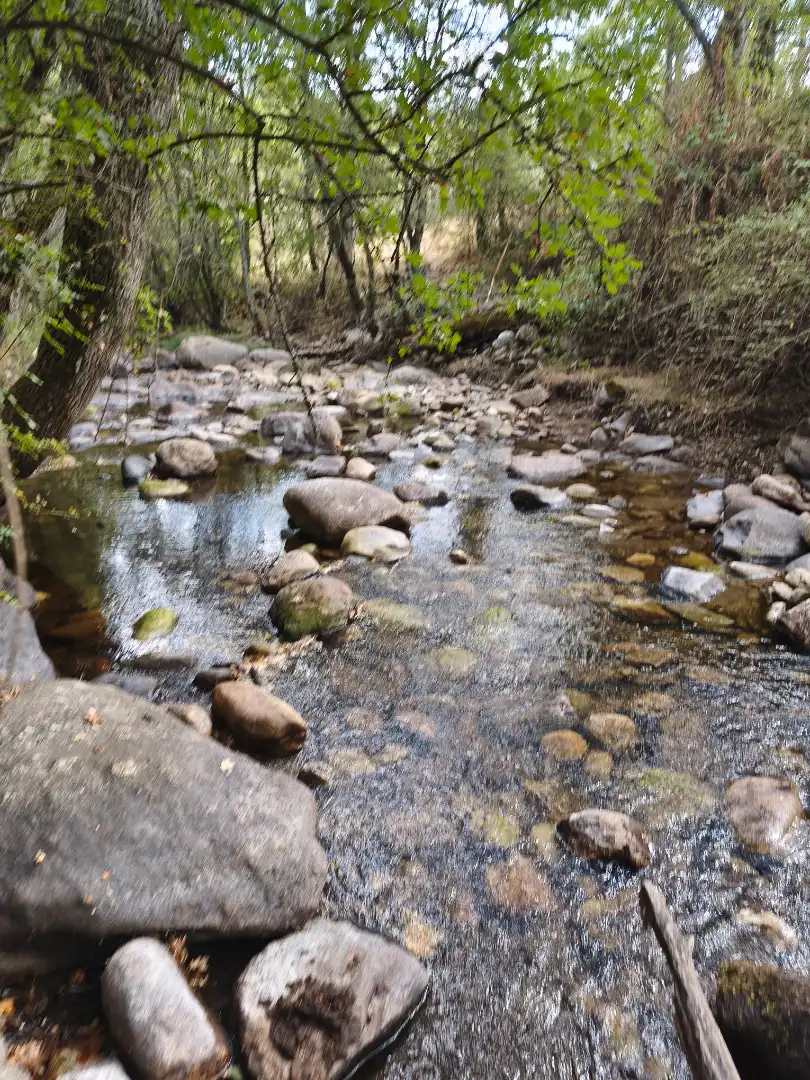 Vista exterior de Terreno en venta en Piñuécar-Gandullas