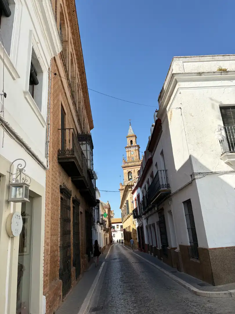 Exterior view of Flat for rent in Carmona  with Air Conditioner and Balcony