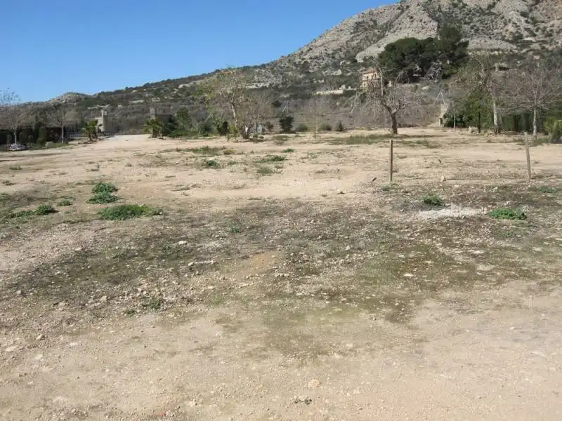 Rustikales Grundstück zum Verkauf in Monforte del Cid, imagen 4