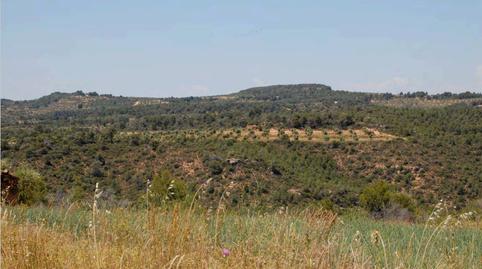 Foto 5 de Finca rústica en venta en N/a, La Granadella, Lleida
