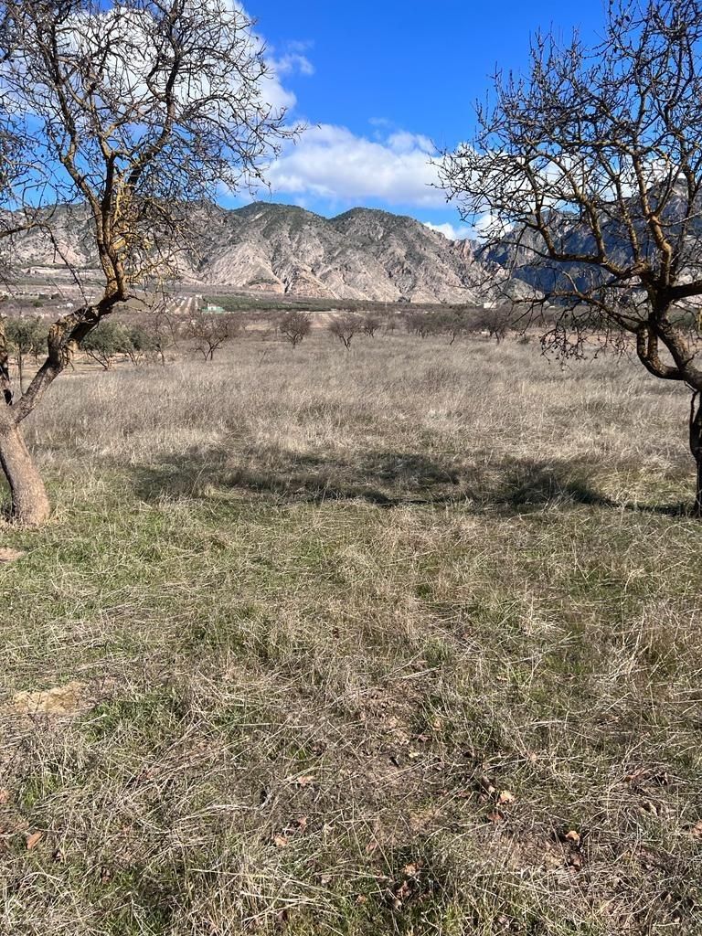 Grundstücke zum verkauf in Dúrcal