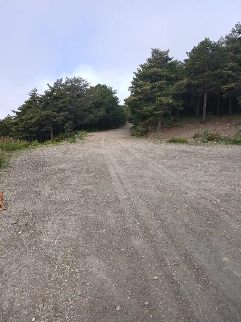 Land for sale in Pórtugos