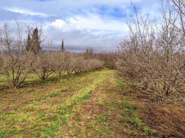 Terreno rustico in vendita a Vilallonga del Camp