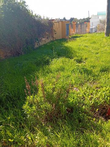 Piso en Alquiler en Camino de Montesol en Las Lomas