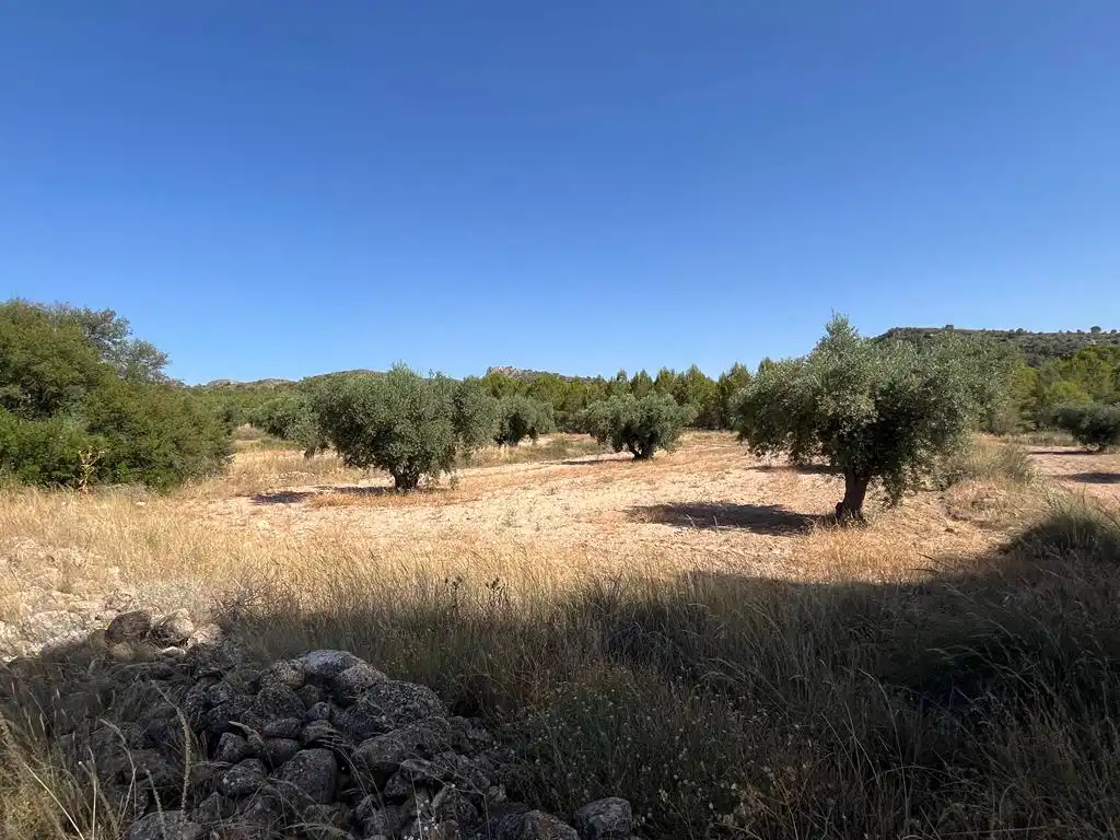 Terreny en venda en Hellín