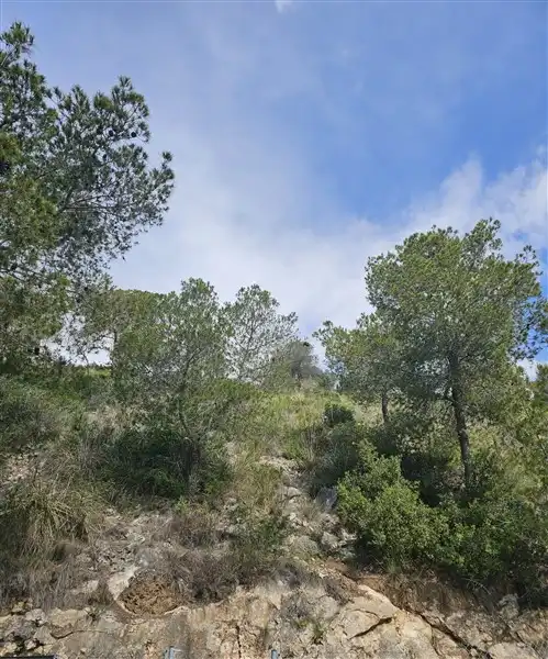 Terreno residenziale in vendita a Avinguda dels Garrofers 79, imagen 3