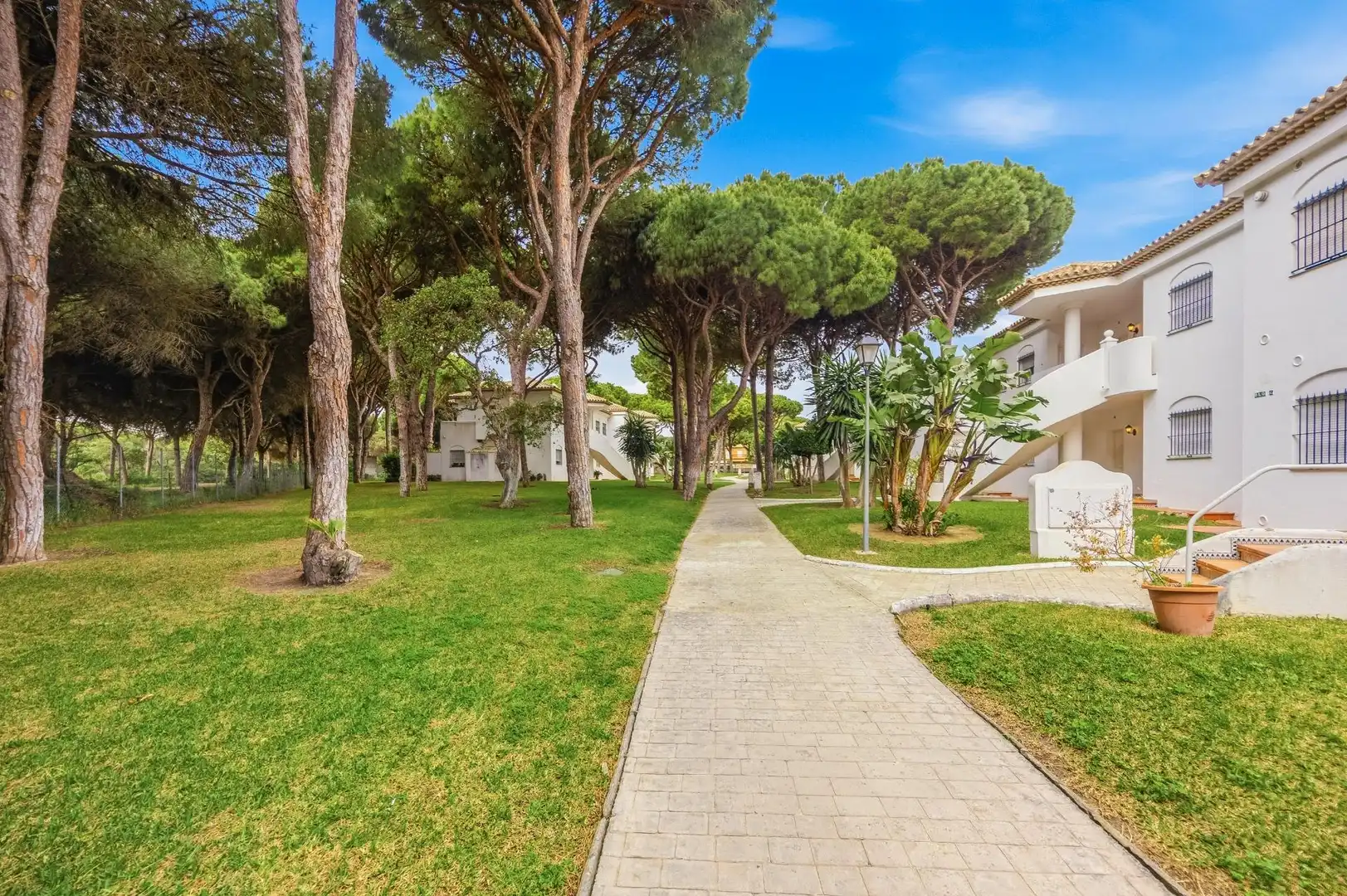 Apartament en venda a La Barrosa