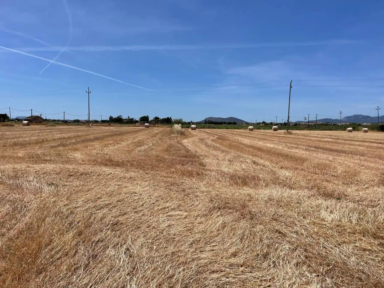 Terreny rústic en venda a Sa Pobla, imagen 10