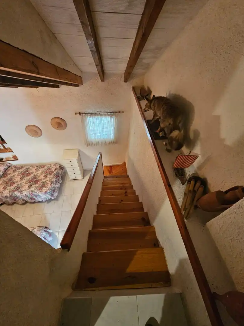 Casa rústica en venta en La Pinilla - Las Palas, imagen 4