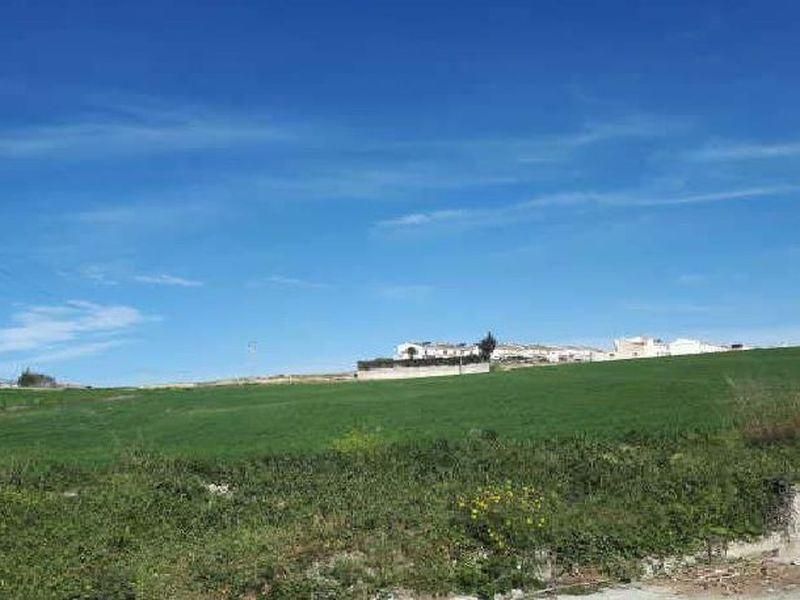 Residencial en venta en Trebujena