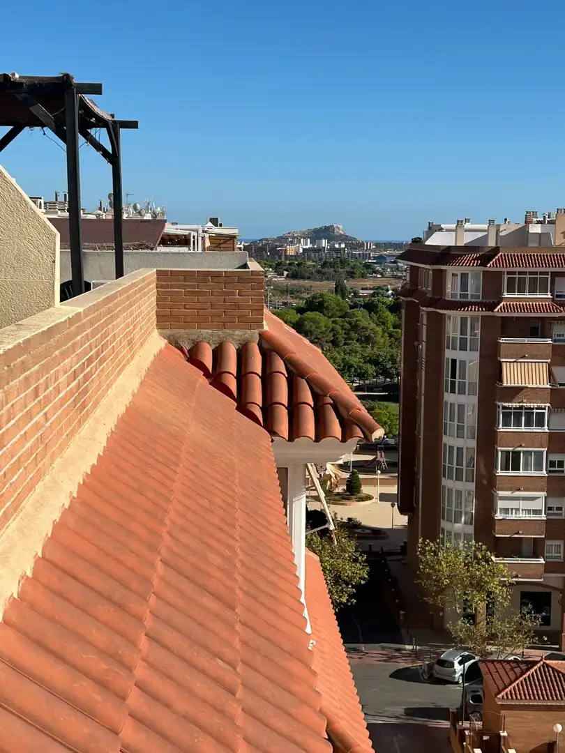 Àtic amb piscina en venda a Parque Lo Torrent, imagen 36