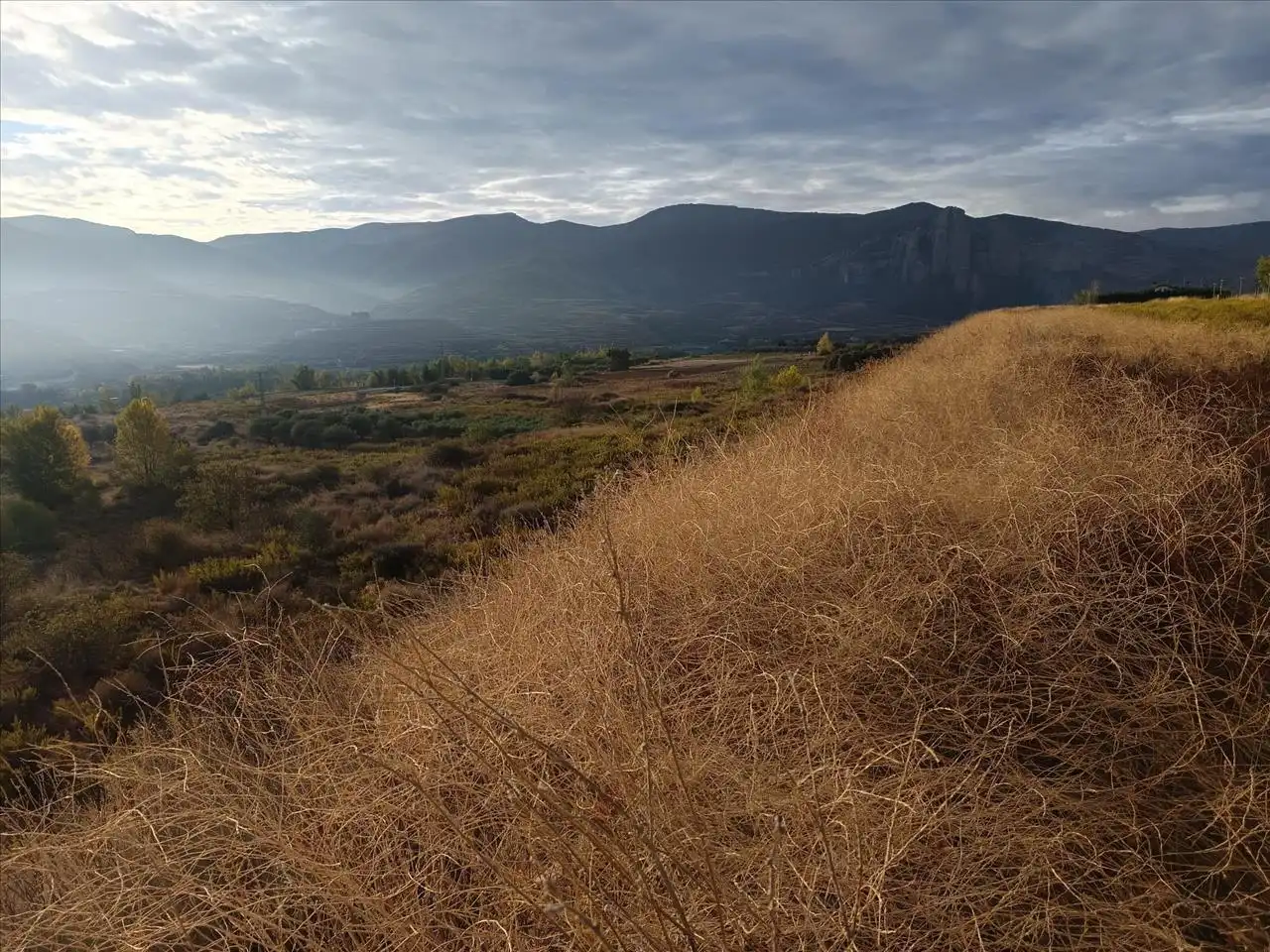 Terreni e lotti in vendita a Velilla, imagen 17