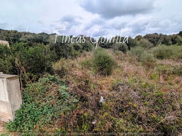 Terrenys i solars en venda a de llumena