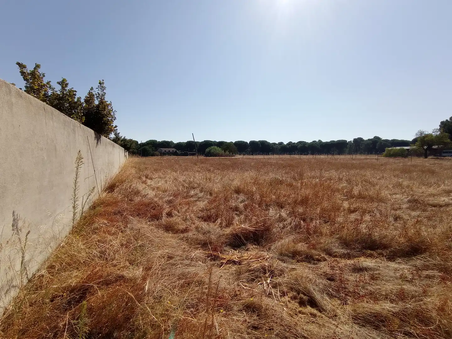Terreno industrial en venta en Laguna de Duero