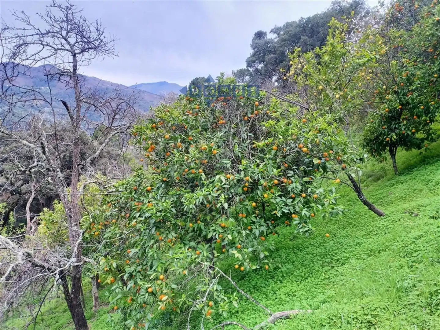 Casa rústica en venda a Algatocín, imagen 4