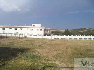Terreni e lotti in vendita a Algodonales