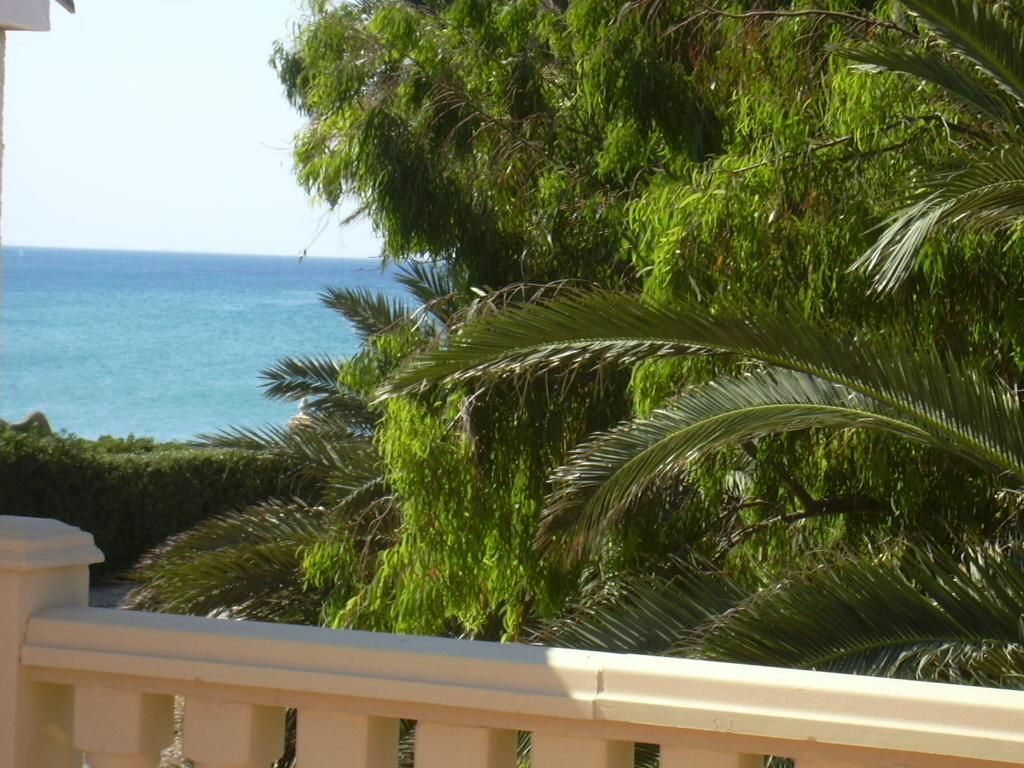 Exterior view of House or chalet for sale in Els Poblets  with Terrace, Storage room and Swimming Pool