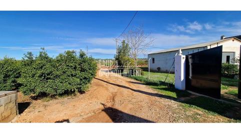 Foto 3 de Finca rústica en venta en Els Blasques, Turís, Valencia