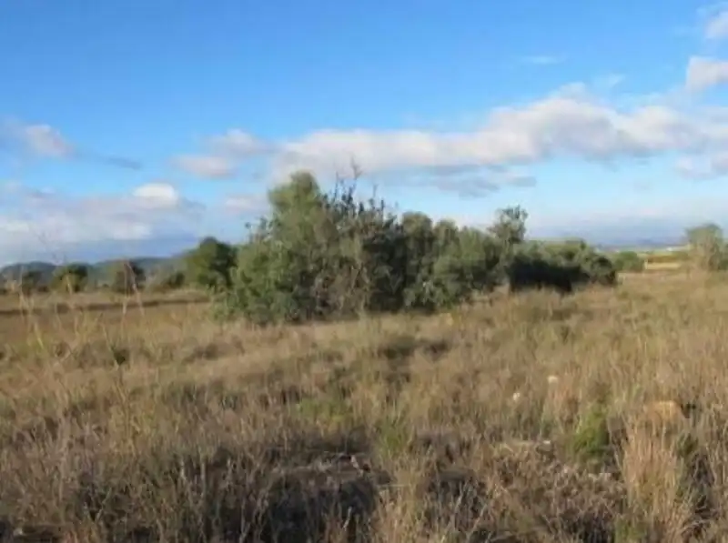 Terrenos y solares en venta en BIERZO GALLIPONT 1, imagen 2