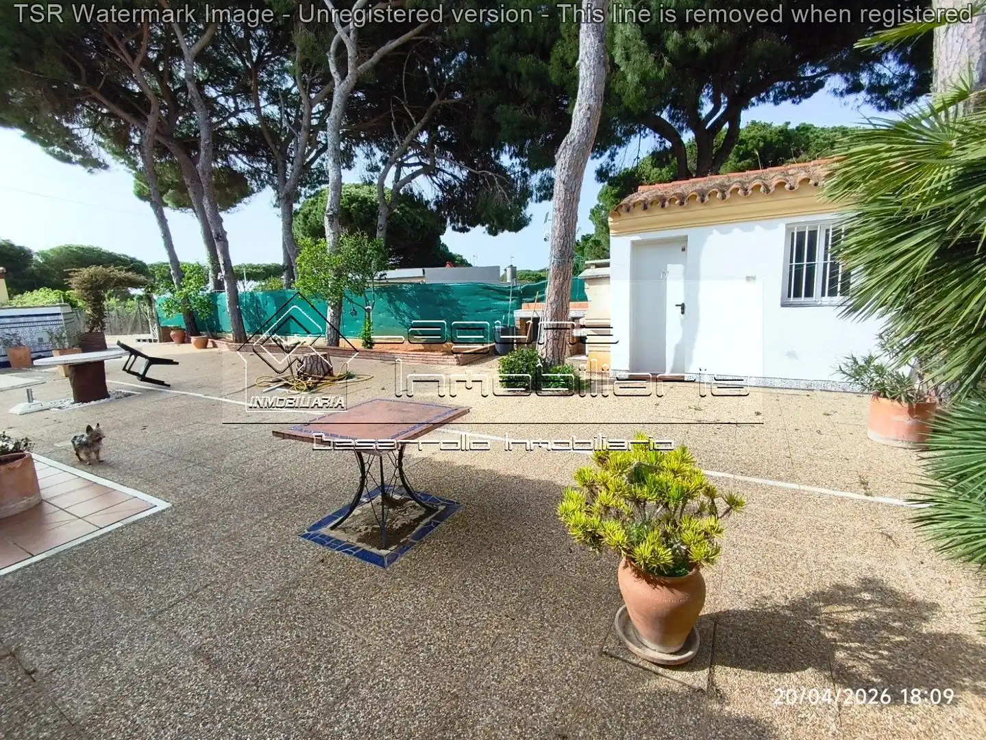 Terrassa de Casa o xalet en venda en Chiclana de la Frontera amb Jardí privat, Piscina i Moblat