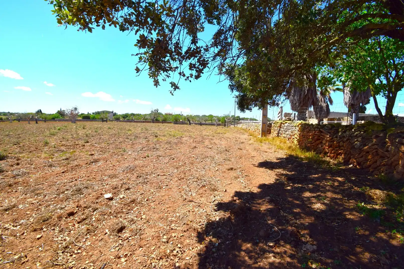 Residential land for sale in Santa Margalida Poble, imagen 23