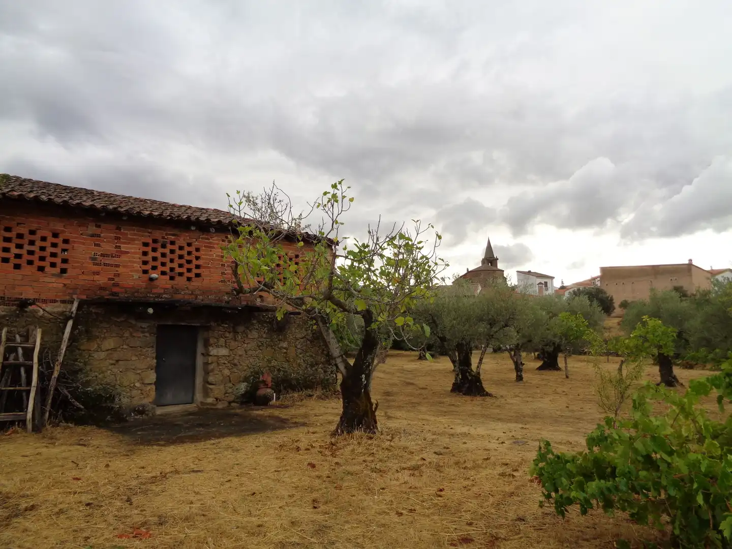 Residential for sale in Carretera de Pasaron, Tejeda de Tiétar