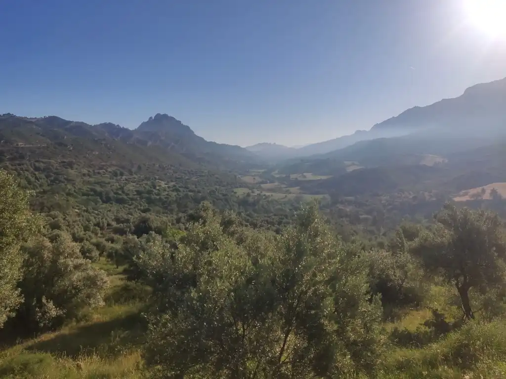 Rural land for sale in Horta de Sant Joan, imagen 2