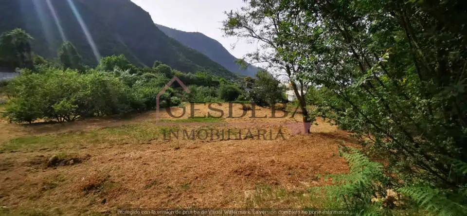 Terreny rústic en venda a Camino Lomo de la Viuda 56, imagen 6