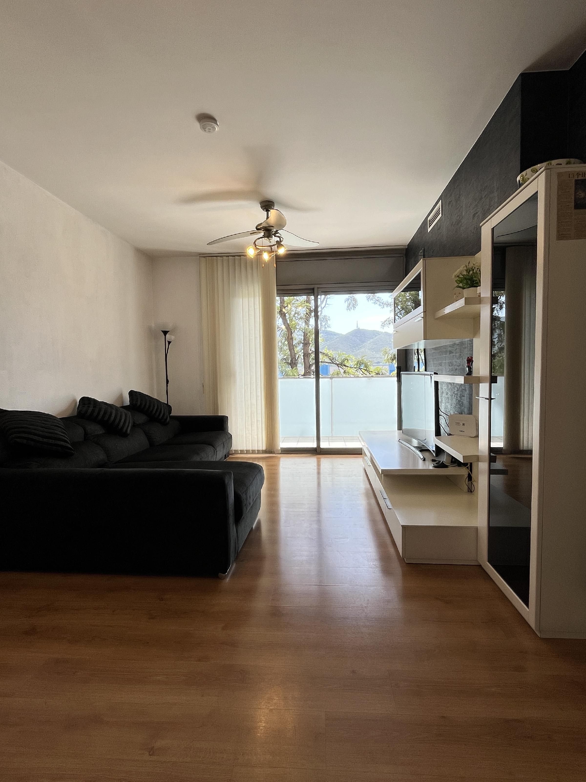 Sala d'estar de Pis en venda en Montcada i Reixac amb Aire condicionat i Balcó