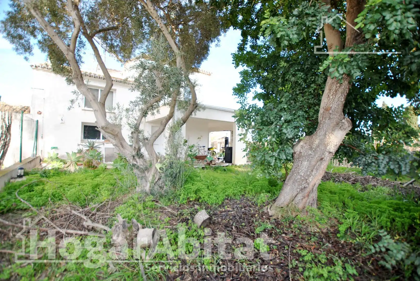 Jardí de Casa o xalet en venda en Oliva amb Aire condicionat, Jardí privat i Terrassa