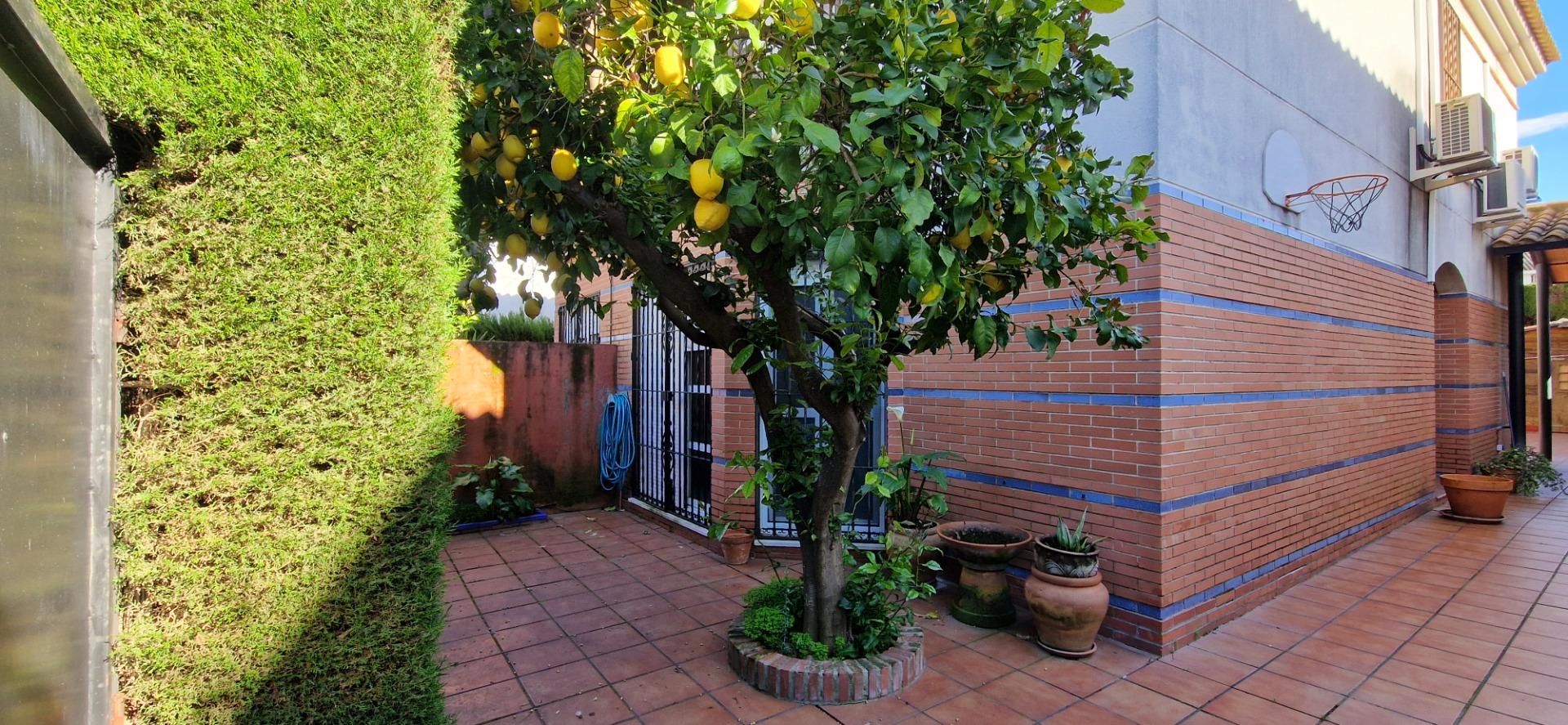 Jardí de Casa adosada en venda en Mairena del Aljarafe amb Aire condicionat, Calefacció i Terrassa