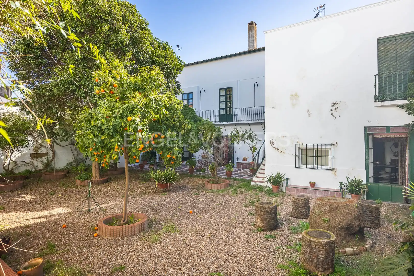 Vista exterior de Casa o chalet en venta en Fuente del Maestre con Calefacción, Jardín privado y Terraza