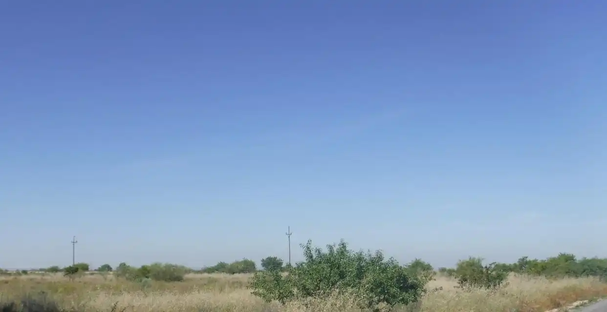 Rural land for sale in PLUTO, imagen 3