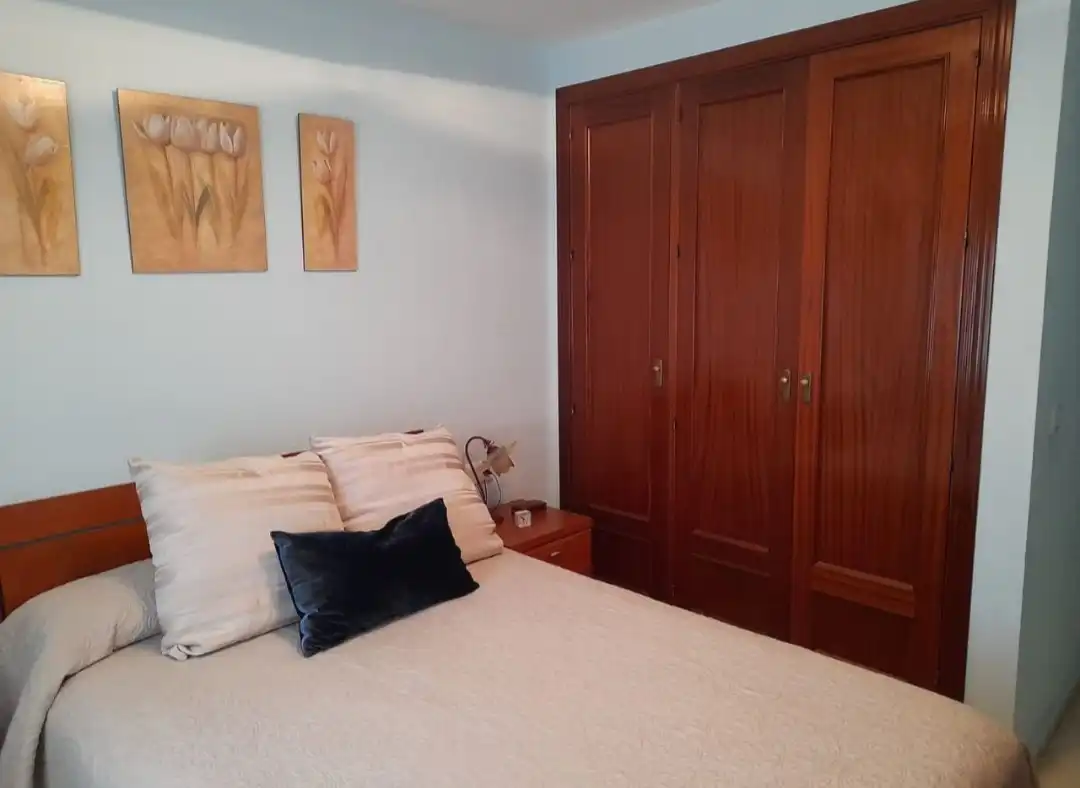 Apartament amb piscina en venda a Parque de la Paloma, imagen 12