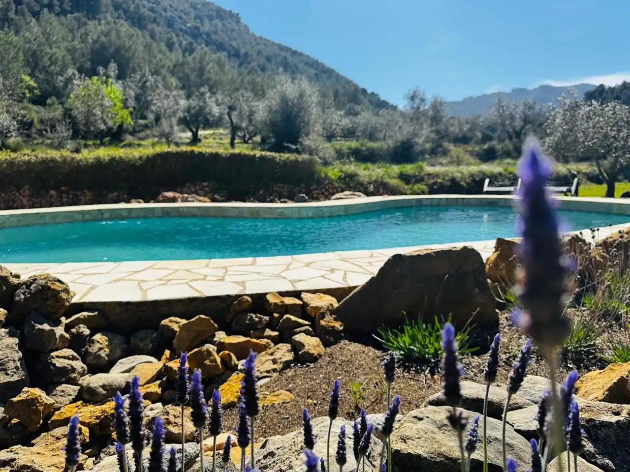 Piscina de Casa o xalet en venda en Castell de Castells amb Traster i Piscina