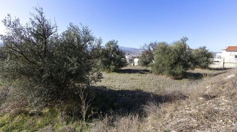 Foto 5 de Residencial en venta en Avenida de Andalucía, Padul, Granada