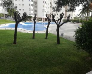 Swimming pool of Flat to rent in Alicante / Alacant  with Terrace and Community pool