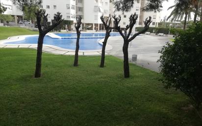 Swimming pool of Flat to rent in Alicante / Alacant  with Terrace and Community pool