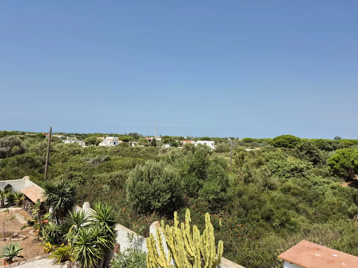 Country homes for sale in Barbate  with Terrace