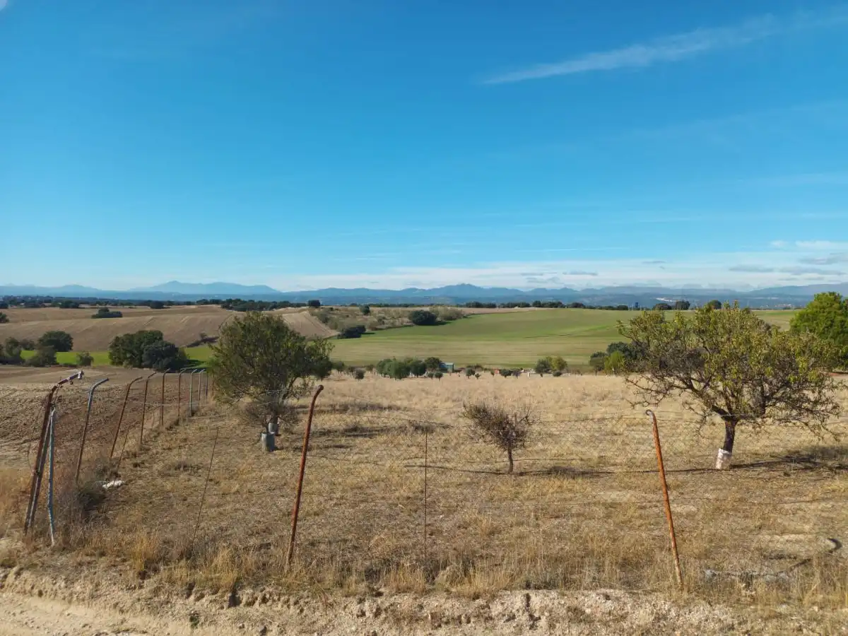 Finca rústica en venta en Brunete