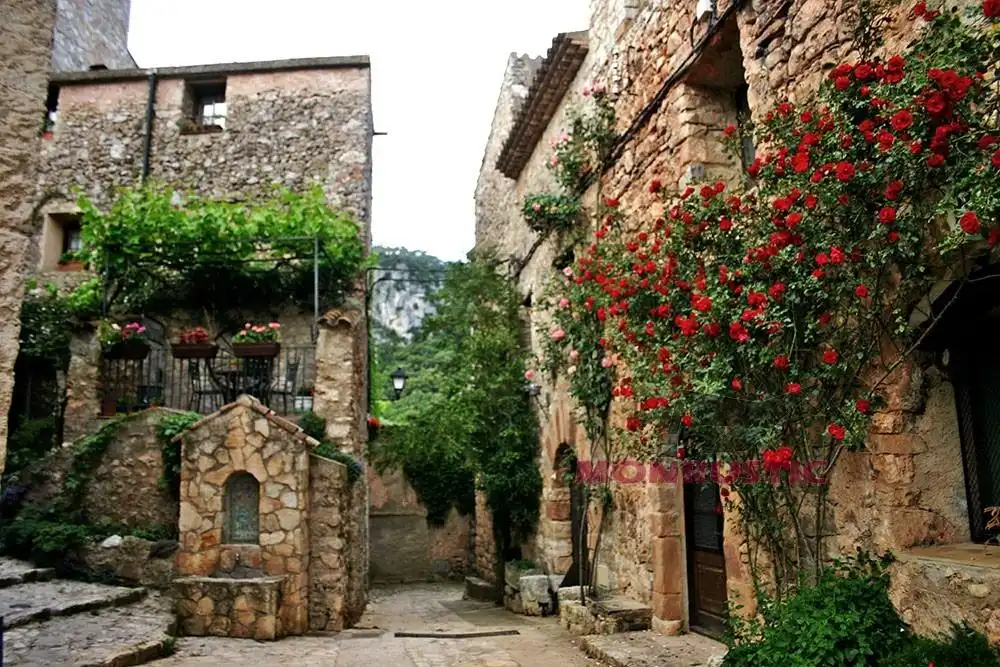 Casa amb terrassa en venda a Mont-ral, imagen 6