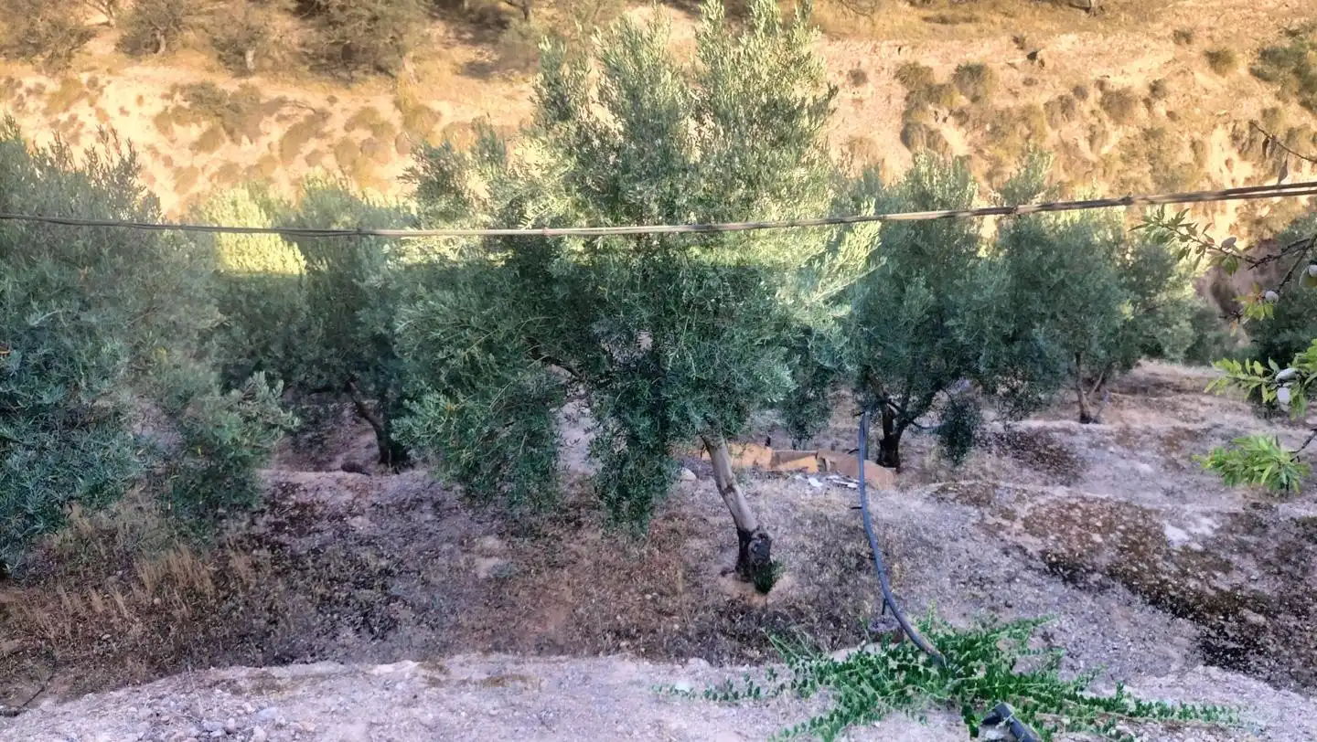 Casa rústica en venda a Camino de Albuñol - Pago de Mira 2, imagen 15